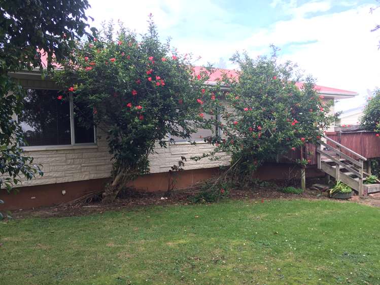 34 Finlayson Avenue Clendon Park_2