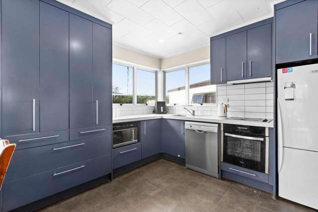 3 Antrim Place Tamatea_1