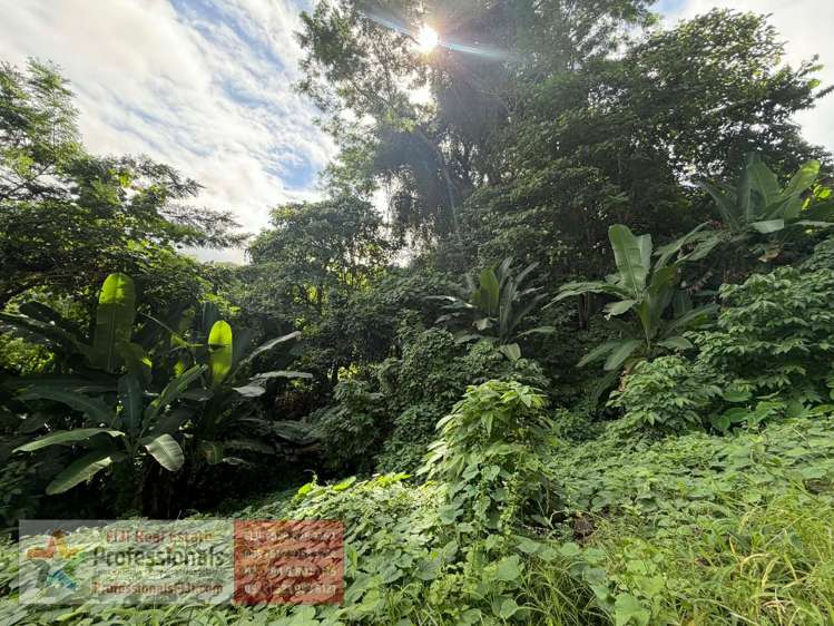 Address withheld Savusavu_24