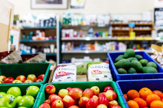 28 Boon Street Whakatane_2