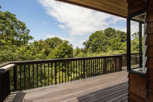 410A Busby Road Katikati_2