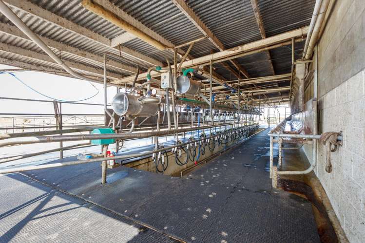 220 Waiomou Road, Okoroire Tirau_6