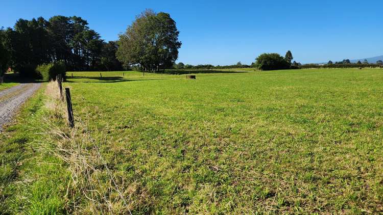 45 and 47 Windsor Road Inglewood_6