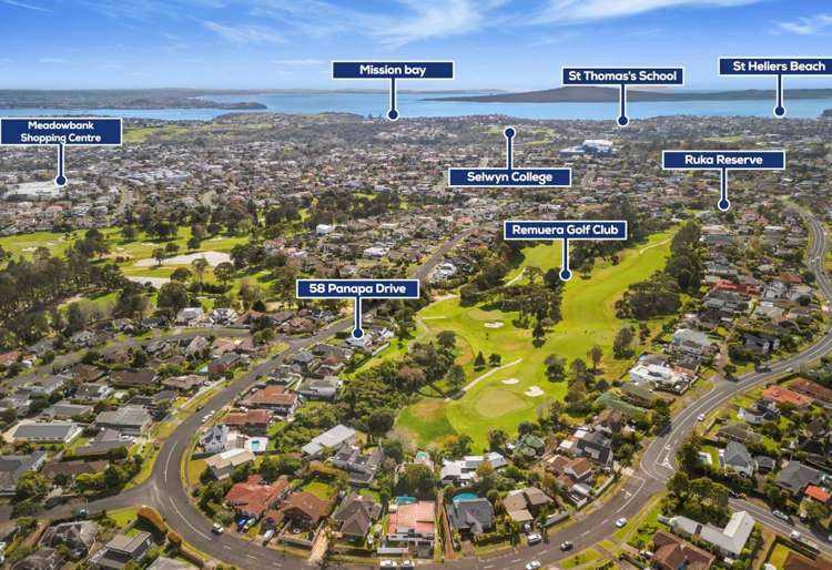 58 Panapa Drive St Johns_21