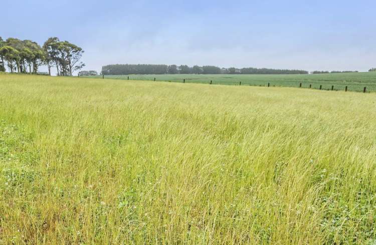 39 Kidd Road Waiuku_4