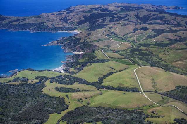 301 Man Owar Bay Road Waiheke Island_2