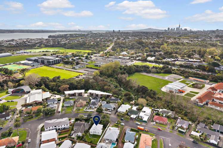 48 Premier Avenue Point Chevalier_14