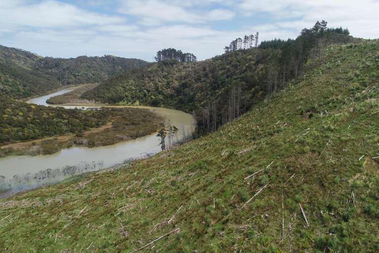 3716 Kaipara Coast Highway Mangakura_11