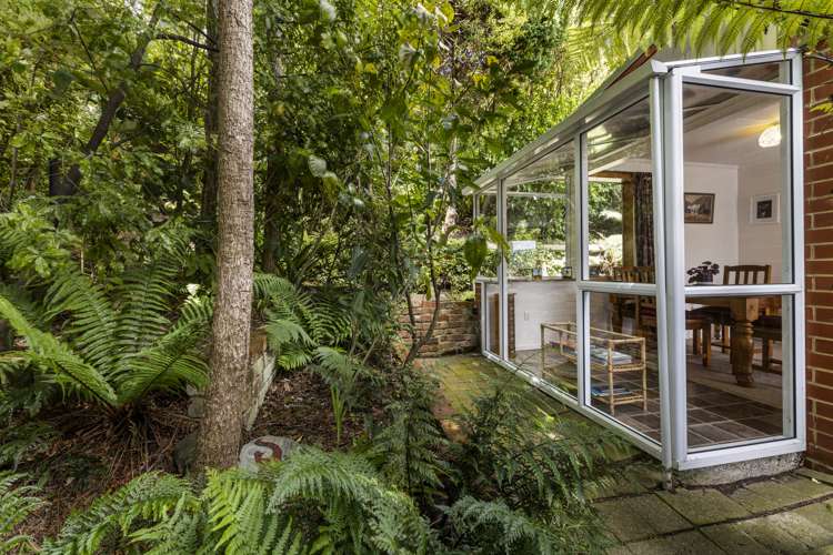 43 Falcon Street Kaikorai_8