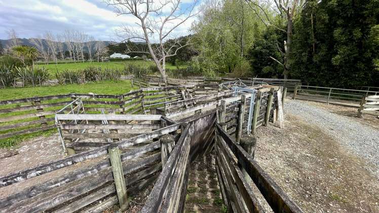 1149 Whangaripo Valley Road Whangaripo_15