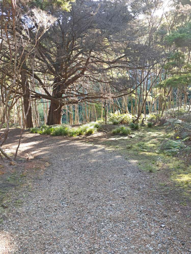 Lot 282/Lts 2-5 Smelting House Bay Kawau Island_9