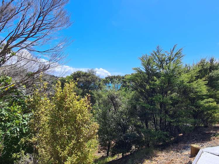 96 Kowhai Drive Coromandel_9