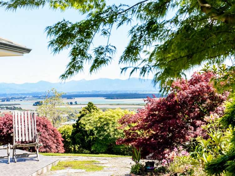 41 View Mount Stoke_3