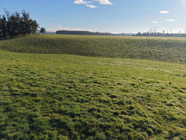Lot Lot 2 Horseshoe Bend Road Otaio_4