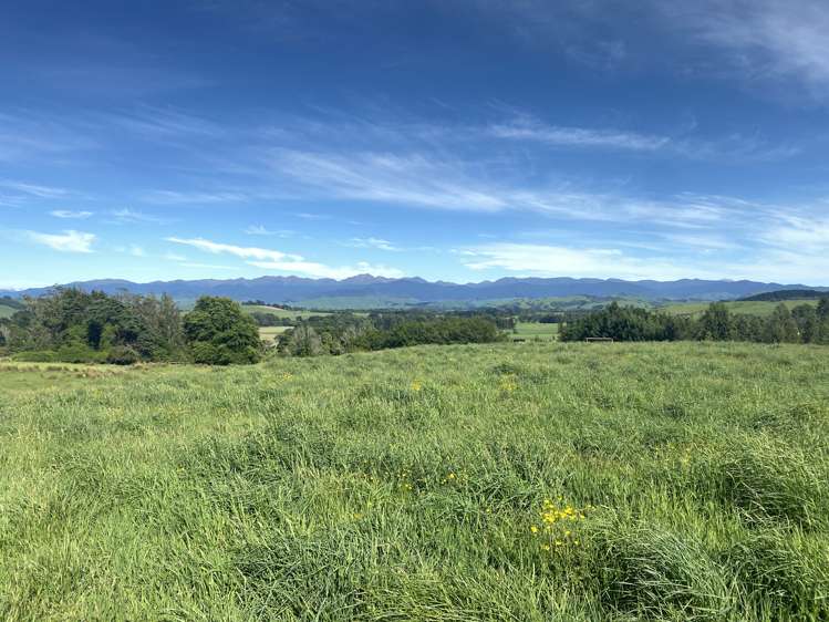 490 Bluff Rangitumau Road Rangitumau_1