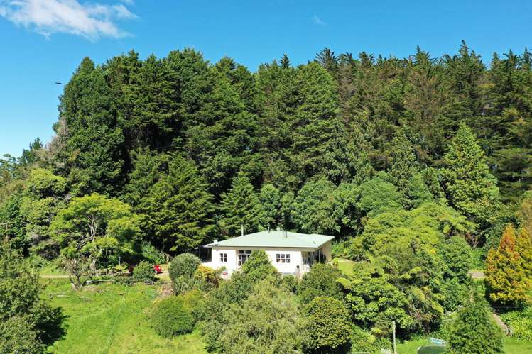 409 Hokoroa Road Tauwhareparae_5