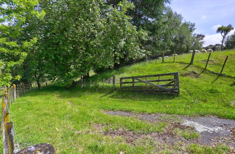 215a No 3 Line Wanganui East_7