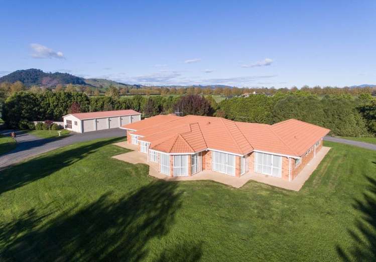 297 Bellevue Road Matangi_5