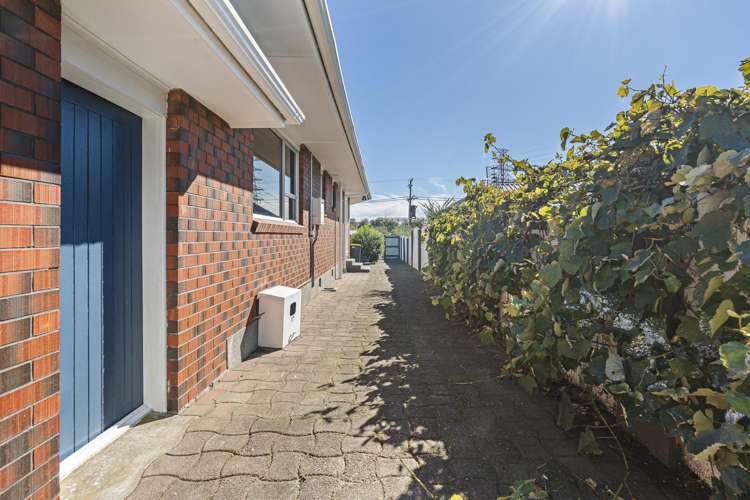 12 Saxton Road Upper Vogeltown_20