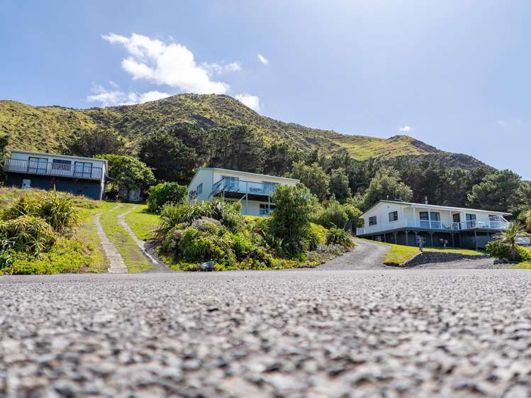9 Mangatoetoe Grove Cape Palliser_17