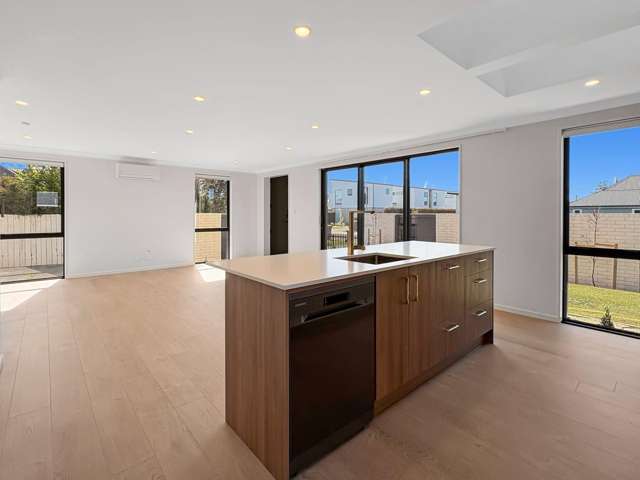21D Sumner St Spreydon_3