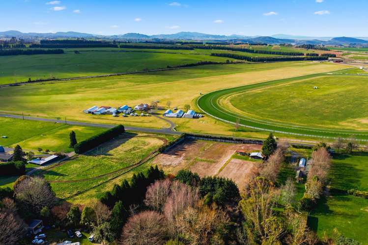 430 Centennial Drive Rotokawa_12