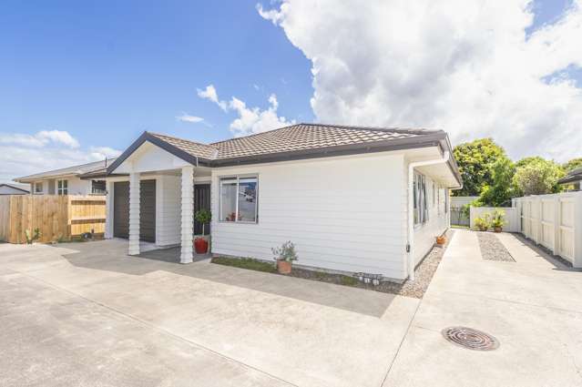 66a Totara Street Tawhero_2