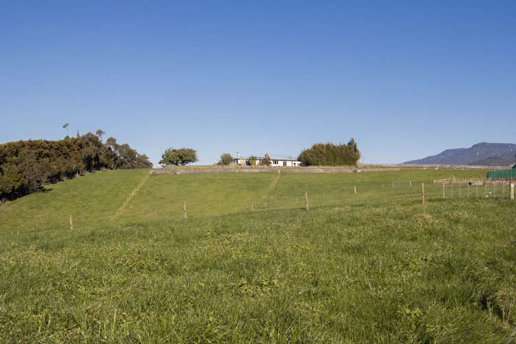 291 Rea Road Hauraki Surrounds_17