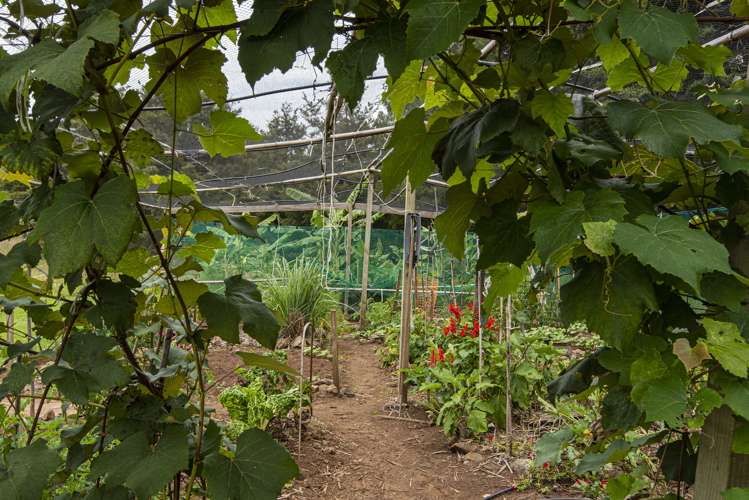 704a Ngunguru Road Glenbervie_15