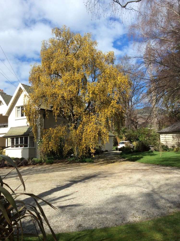 171 Gladstone Road South East Taieri_23