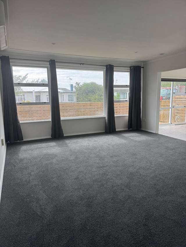 26B Wilton Street Levin_4