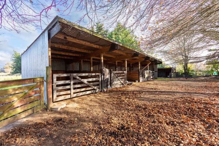 156 Vogel Street Woodville_1