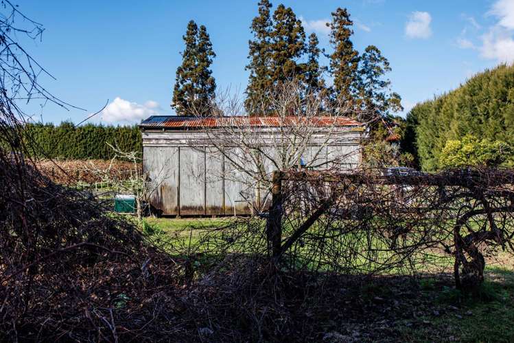 343 Western Drain Road Edgecumbe_39