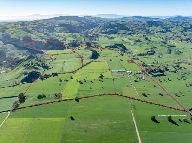 Premium organic with scope to grow