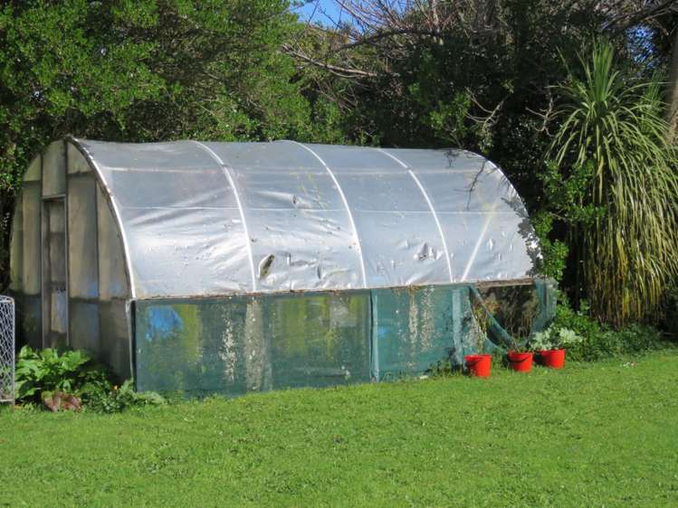 134 Romilly Street Westport_17