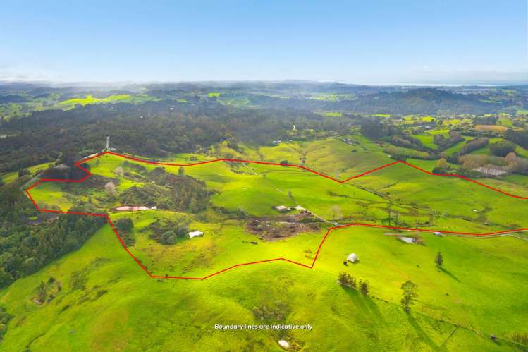 462 Kahikatea Flat Road_5