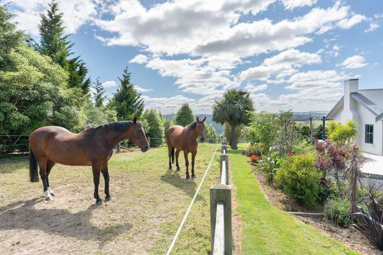 138 McKendry Road Outram_18