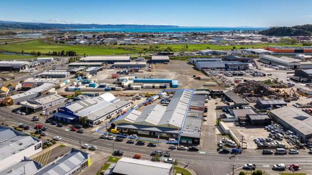 Napier Industrial Investment: 5 Tenants + Upside