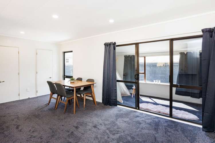 4 Ngarimu Street Roslyn_12