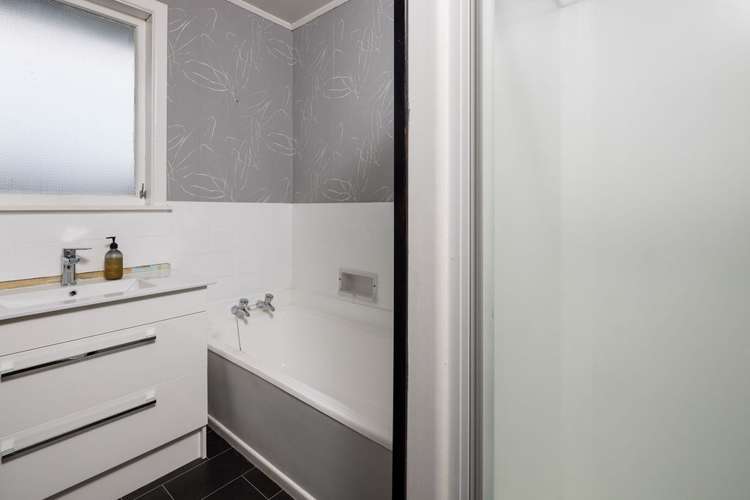 16 Hall Street Kihikihi_11