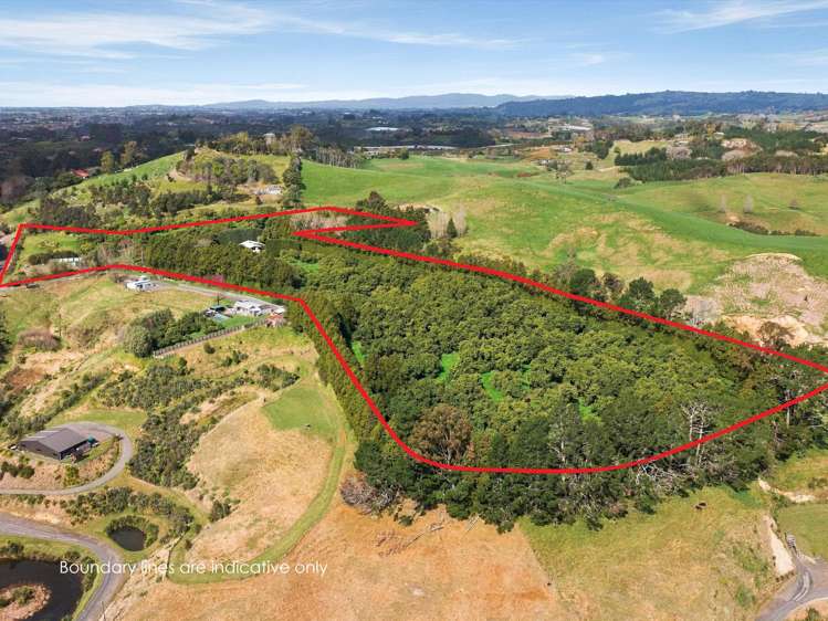 50 Turntable Hill Road Whakamarama_3