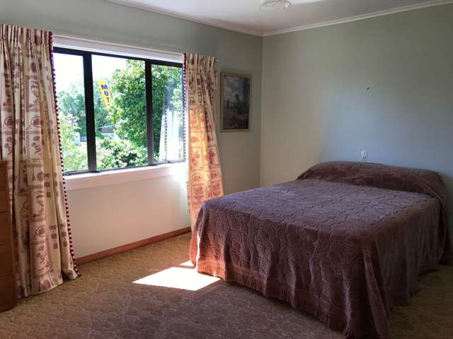 145 Bond Road Te Awamutu_3