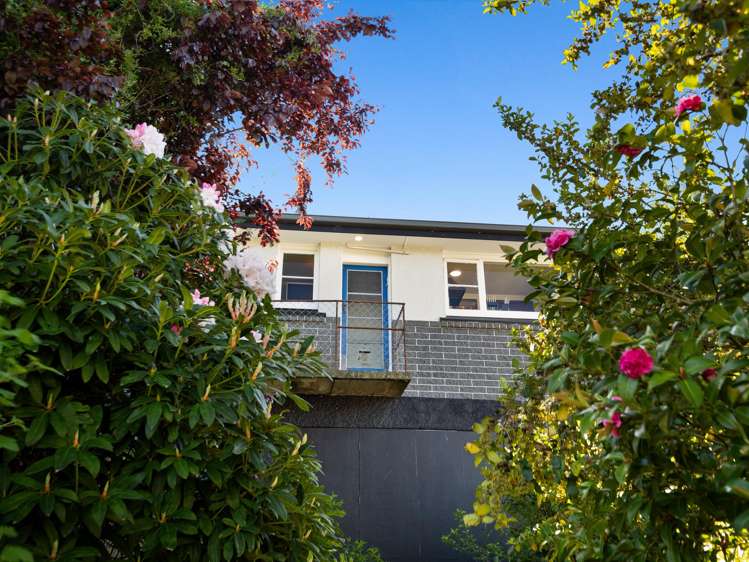 15 Westland Street Green Island_21