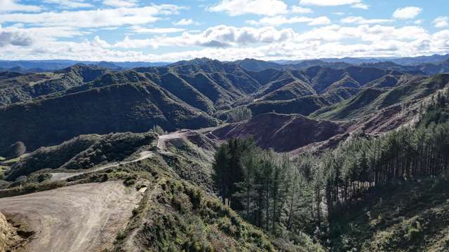 Opportunity on the hillside