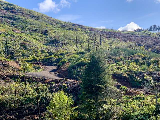 118 Reservoir Road Waihi_1