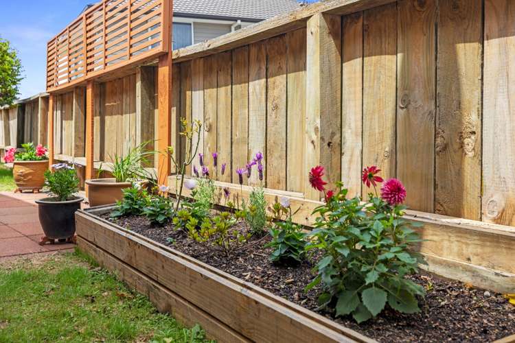 32b Ranch Road Mount Maunganui_12