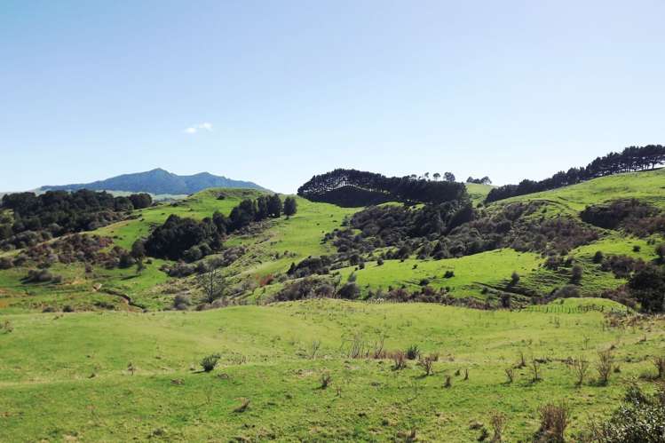 238 Waimaori Road Raglan_13