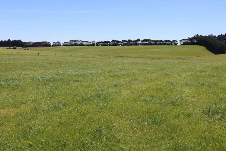 878 Downs Road Edendale_14