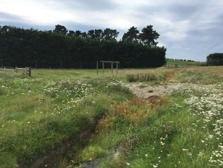 409a Springbank Road Swannanoa_6