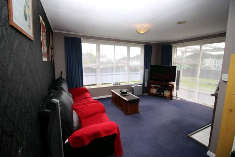 20 Ward Street Bulls_13